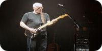 Evidence Audio в руках John Petrucci и David Gilmour
